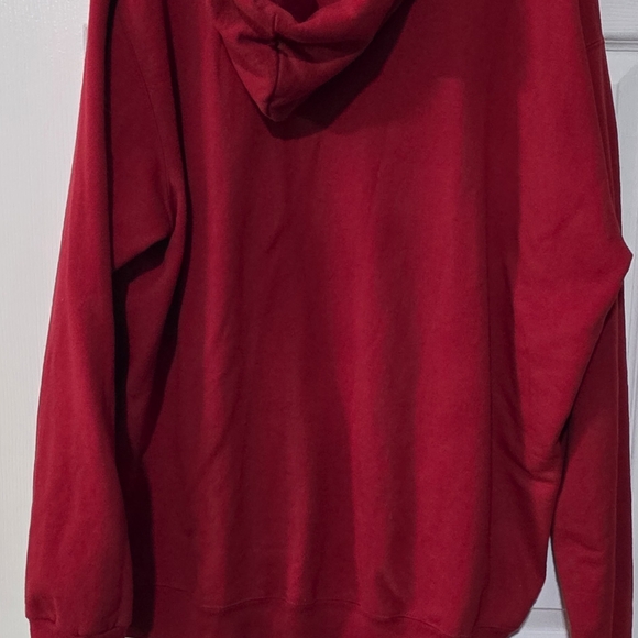 San Francisco 49ers primary logo hoodie. - Picture 5 of 5